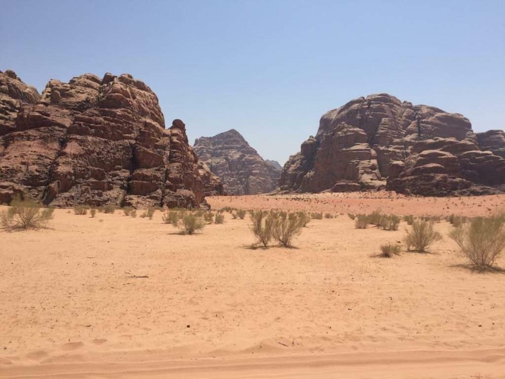 Wadi Rum-Bedouin Tents And Jeep Tours Exteriör bild