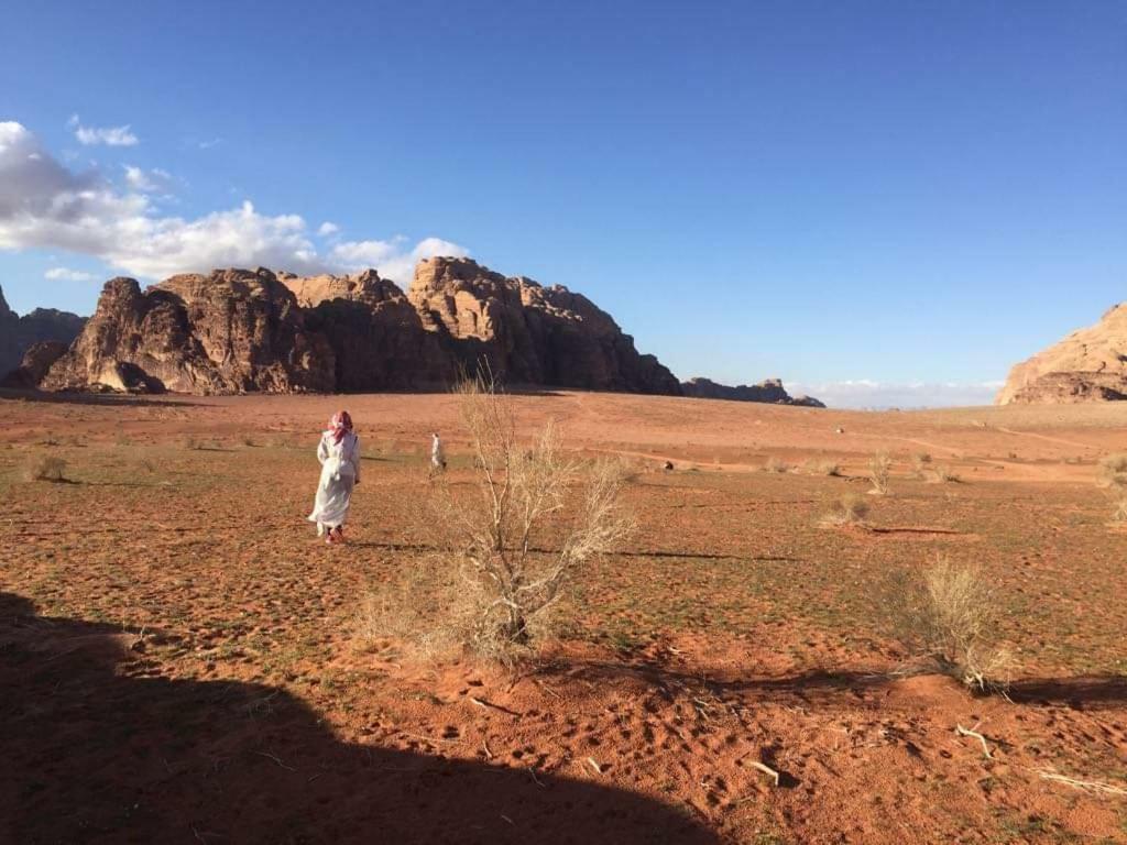 Wadi Rum-Bedouin Tents And Jeep Tours Exteriör bild