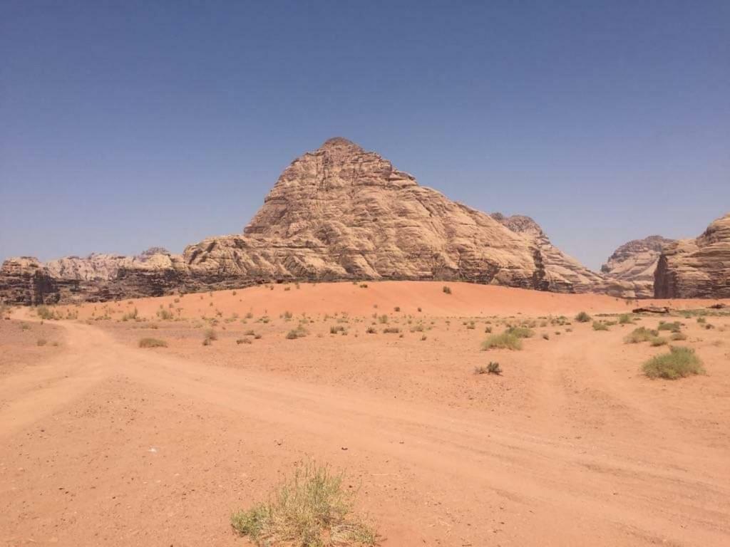 Wadi Rum-Bedouin Tents And Jeep Tours Exteriör bild