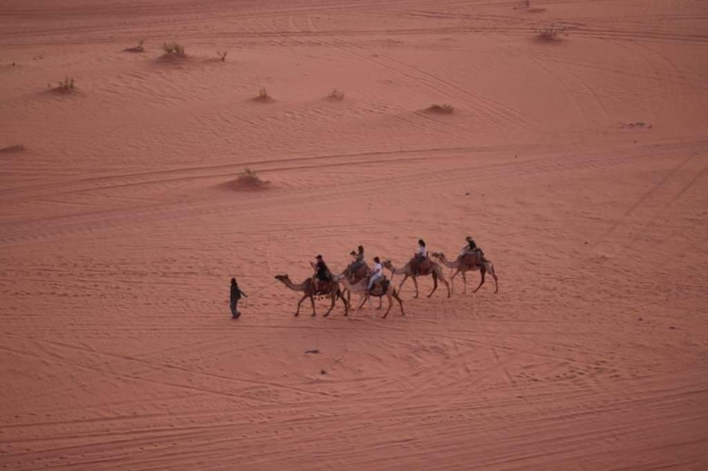 Wadi Rum-Bedouin Tents And Jeep Tours Exteriör bild