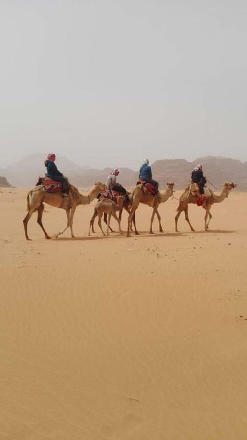 Wadi Rum-Bedouin Tents And Jeep Tours Exteriör bild